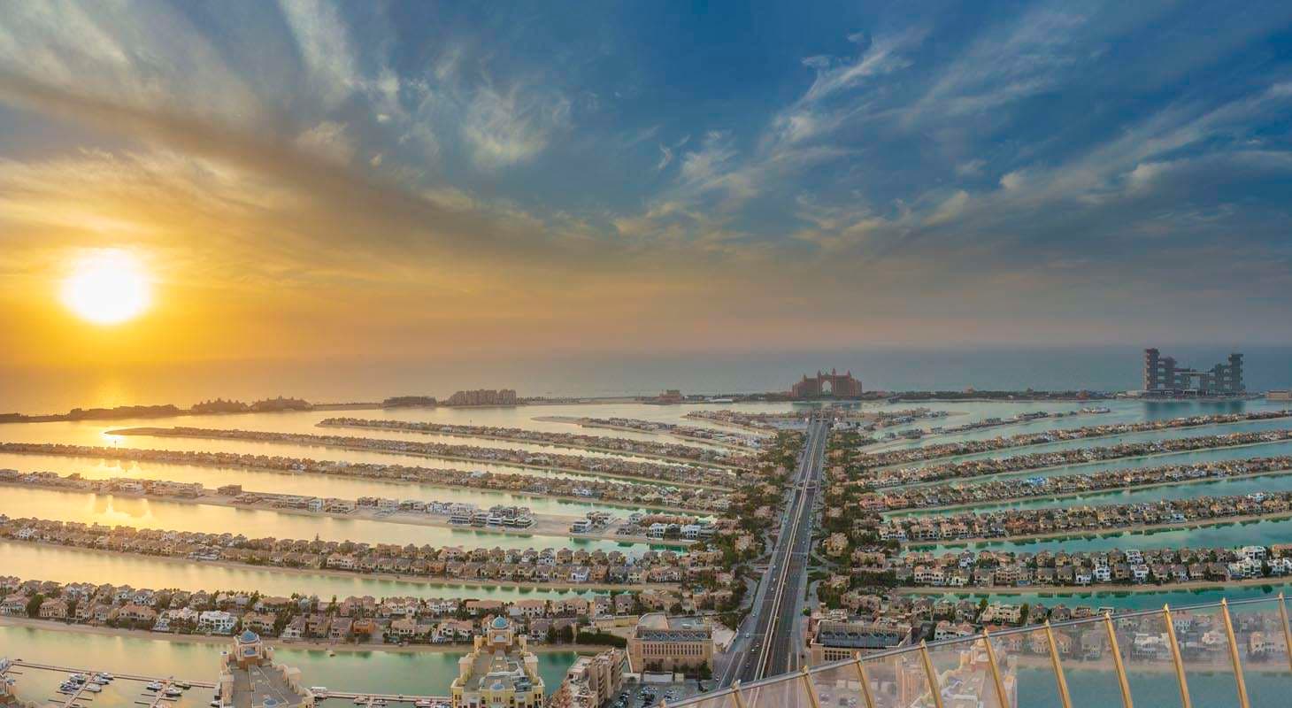 THE PALM TOWER — image 3