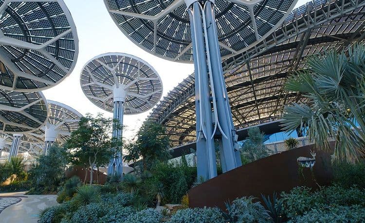 Ultimate Guide to Green Living Spaces